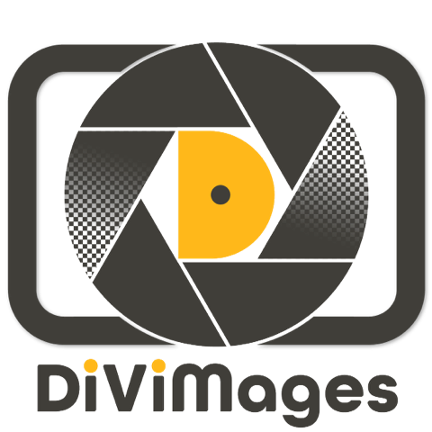DiViMages Logo